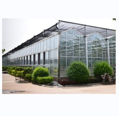 China Sistemas de cultivo hidropónico NFT de cubierta de vidrio La solución definitiva para la agricultura vertical en venta