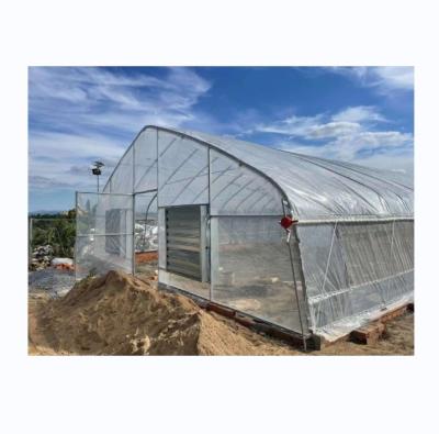 China 6m-10m Width Single Layer High Strength Poly Tunnel Greenhouse For Tomato Production for sale