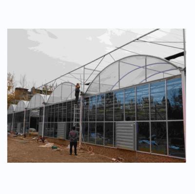 China Hot Dip Galvanized Steel Tube Frame Multi Span Landwirtschaftliches Gewächshaus zu verkaufen