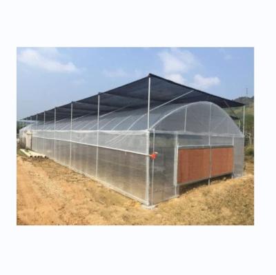 China Kleine single span PE plastic film kas voor groentenbouw 10-100m lengte Te koop