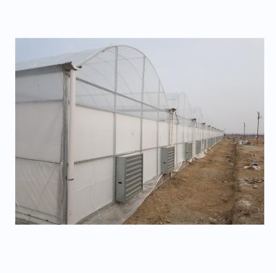 China Super Strong Resistance Multi Span Agricultural Greenhouse By Shine Tech for sale