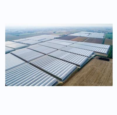 China Customizable Size Multi Span Agricultural Greenhouses With Hot Dip Galvanized Steel Tube for sale