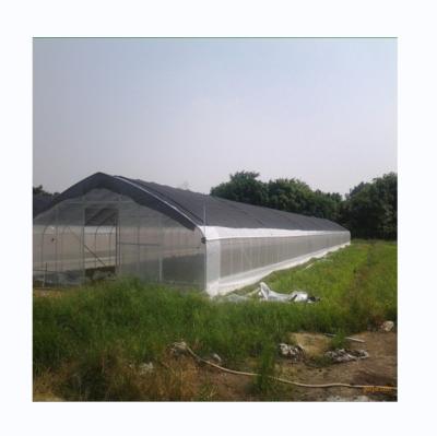 China Customized Single Span Greenhouse For Cucumber Cultivation 10-100m Length for sale