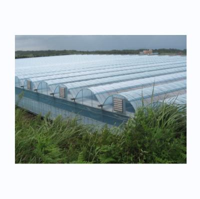 China Large Multi Span Agricultural Film Greenhouses With Optional Cooling System for sale