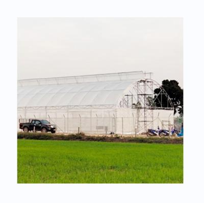 China 200 micron UV Protection PE Film Single Tunnel Greenhouse For Tomato and Cucumber Growth for sale