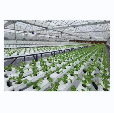 China Horizontal Type PVC NFT Channel for Customized Size Hydroponic Leafy Vegetable Farming for sale