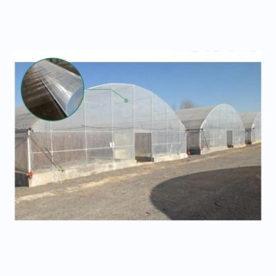 China Hot Dip gegalvaniseerd staalbuis Eénlaag film Plastic Tunnel Landbouw kassen Te koop