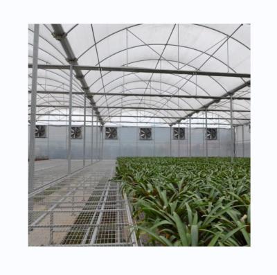 China Multi Span Poly Film Greenhouse for Agriculture Optional Cooling and Irrigation System for sale