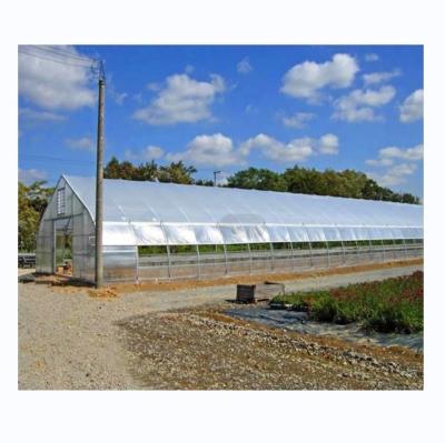 China Hot Dip gegalvaniseerd stalen buis frame Single Span Landbouwgreenhouse voor groei tent Te koop