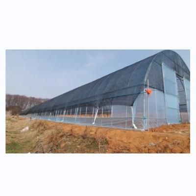 China Single Span Agricultural Greenhouses Shading Net Film Greenhouse For Tomato Planting for sale