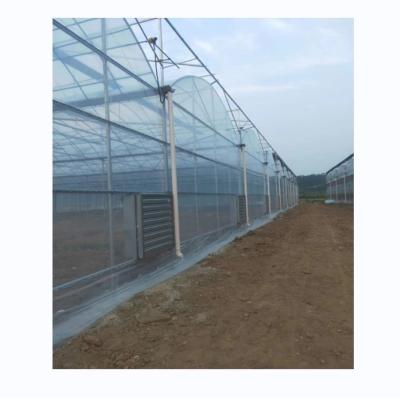 China Shine Tech Multi Span Plastikfolie Gewächshaus für Tomaten und Erdbeeren zu verkaufen