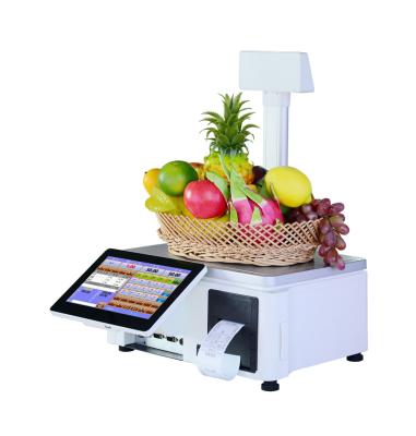 China Fruit Store Plug-and-play T10 a new generation of all in one scale 10 inch capacitive touch screen cash register for sale