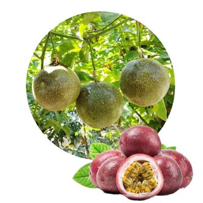 China Taste and Flavor Original Factory Direct Supply Passionflower Passion Fruit 100% Fresh Natural Frozen Pulp Puree Passionflower Passionflower Milk Tea Bubble Tea Ingredients for sale