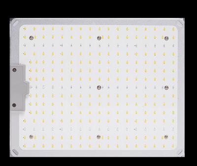 중국 강력한 LED 성장 라이트 양자 보드 100W 대규모 농업 운영 판매용