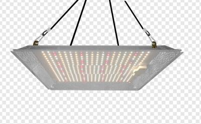 Cina LED in alluminio Tavola Quantum Indoor Crescere luce Facile da installare / utilizzare in vendita