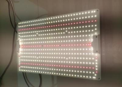 China Luz de crecimiento LED de alta eficiencia de 200W Placa cuántica 480*300*75mm en venta