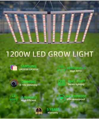 Cina Lumi di coltivazione a LED idroponiche Durable 1200W Dimmable Full Spectrum Plant Light Customizable Coverage in vendita