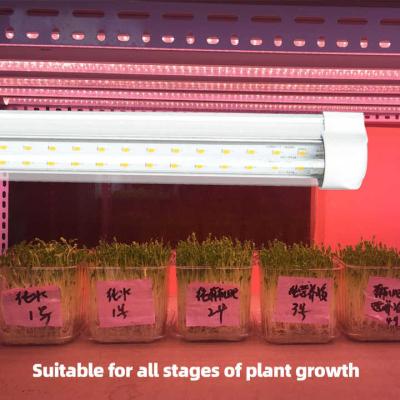 China 18W/36W T8 LED Grow Light Tube para Lettuce Mushroom Hydroponic Indoor Growing Stand 70lm/w Eficiência à venda