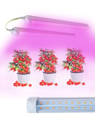 China T8 Tube 2ft 3ft 4ft Horticulture Led Grow Lights For Greenhouse Indoor Plants Veg Bloom Stages for sale