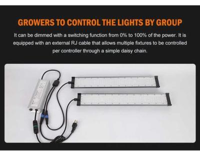 Cina 200w LED Grow Light Quantum Board 400PCS LED e PPF di 480±5% umol/s per la crescita delle piante in vendita