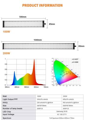 중국 320W 풀 스펙트럼 LED 성장 조명, LED 성장 조명 양자 보드 실내 정원에 높은 효율성 판매용