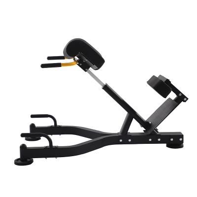 China Gym Equipment Life Fitness Machines Multiplayer Training Extender Back Bench Roman Chair for sale