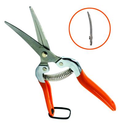 China Hot Selling Household Professional Anti-skid Handle Stainless Steel Garden Grape Plant Non-Slip Handle Shears Pruners Curved Pruning Scissors for sale