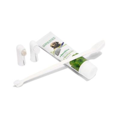 China Spain Pet Toothpaste and Toothbrush Set Sustainable Pet Oral Cleaning Toothpaste for sale