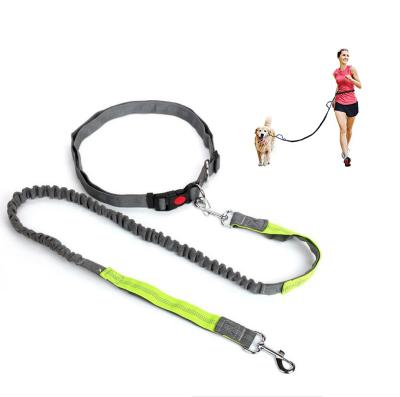 China Amazon Bungee Pet Leash Thoughtful Hot Selling Elastic Running Dog Leashes Hands Free for sale