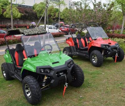 China new popular electric UTV for adults 9.5L for sale