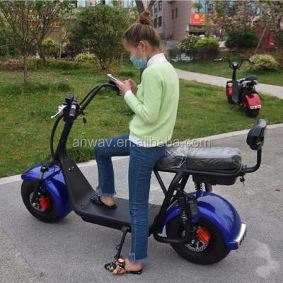 China 2018 Citycoco Wholesale Dismountable Battery 2 Wheel Electric Motorcycle Scooter Parts 1000W for sale