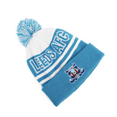 China Adult Fashion Customized COMMON Jacquard Printing Acrylic Soft Winter Beanie Knitted Pompom Beanie for sale