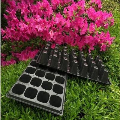 China 72 Hole Plastic Plant Starter Tray Eco-Friendly Germination for sale