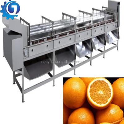 China High Efficiency Lemon Sorter Blueberry Date Garlic Grading Machine High Efficient Dates Grading for sale