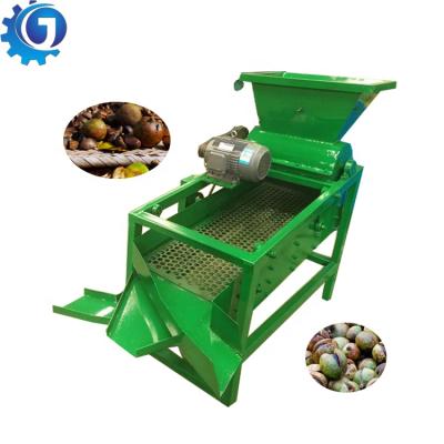 China Camellia Fruit /Almond/ Bean Automatic nut shell removing machine small camellia fruit peeling machine pistachio peeling machine for sale