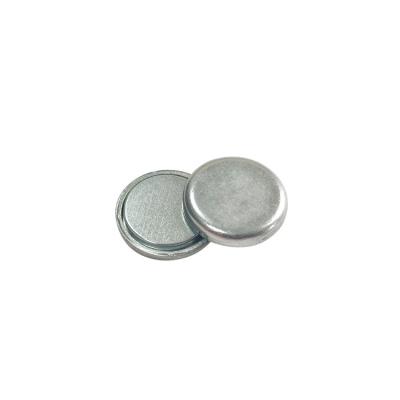 China 2020 OEM Service Environment Friendly Single Pole Rare Earth Magnets for sale