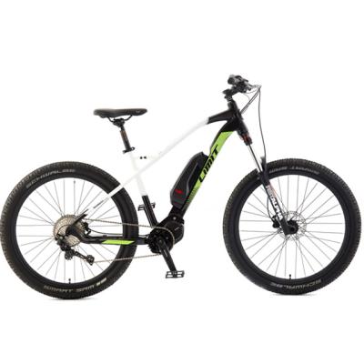 China 2020 new 26inch 10speed aluminum alloy e-bike factory direct sale for sale