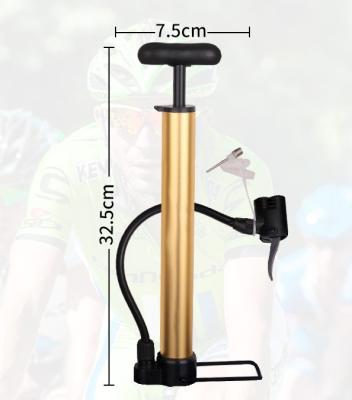 China bicycle pump P-01 for sale