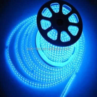 China High voltage super bright 220v theme park 110V led strip smd 5050 flexible led strip for sale