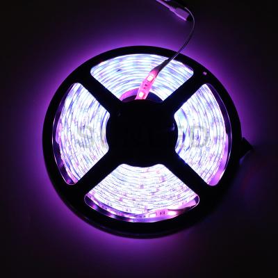 China IP65 LANDSCAPE waterproof led strip light smd 5050 rgbw led flexible light strip 60leds 5m/roll for sale