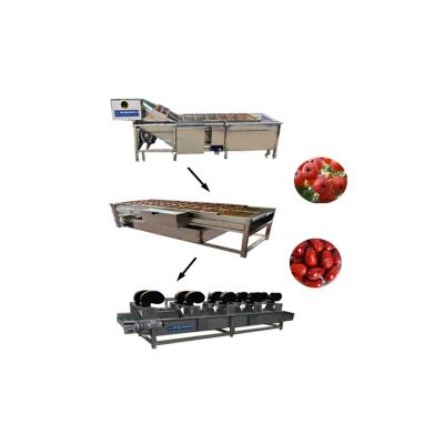 China food & Beverage Shops Food Processing Plant Equipment Vegetable Cleaning Machine Fruit Washer for sale