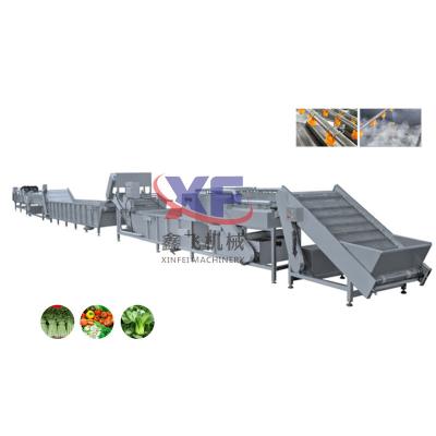 China food & Beverage Factory Automatic Avocado Sorting Fruit Lemon Seal Blueberry Cleaning Machine for sale