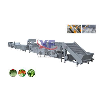 China food & Beverage factory chilli chicken feather bubble cheaper vegetable seal cleaning machine for sale