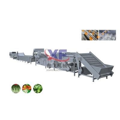 China food & Beverage Factory Chicken Meat Cleaning Citrus Washing Drying Equipment Machine Processing Machinery for sale