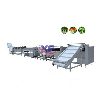 China food & Beverage Factory Ettuce Cabbage Dates Fish Seal Remover Dryer Bubble Washing Machinery for sale