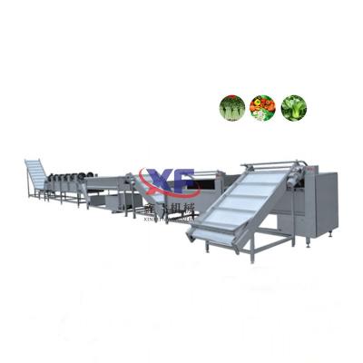 China food & Fully Automatic Beverage Plant Fruit Washing And Waxing Machine Grading Line for sale