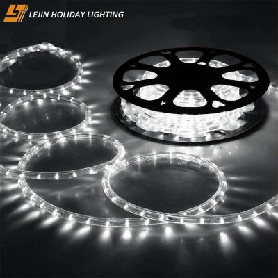 China Two Wire Led Rope Light Round Rope Light 100m Warm White White Roll Holiday Lighting for sale