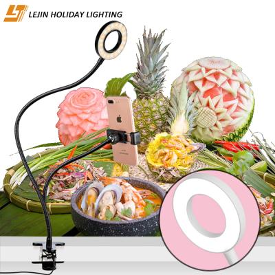 China Amazon Wholesale Host Photographic Lighting For Host Ring Light Phone for sale