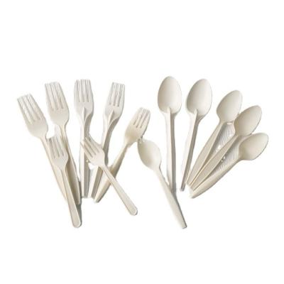 China High quality disposable cutlery biodegradable eco-friendly wholesale disposable 5 inch small spoon for sale