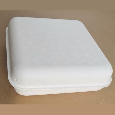 China Healthy Disposable Degradable Compostable Pulp Molded Clothes Box Environmental Friendly Pulp Tray for sale